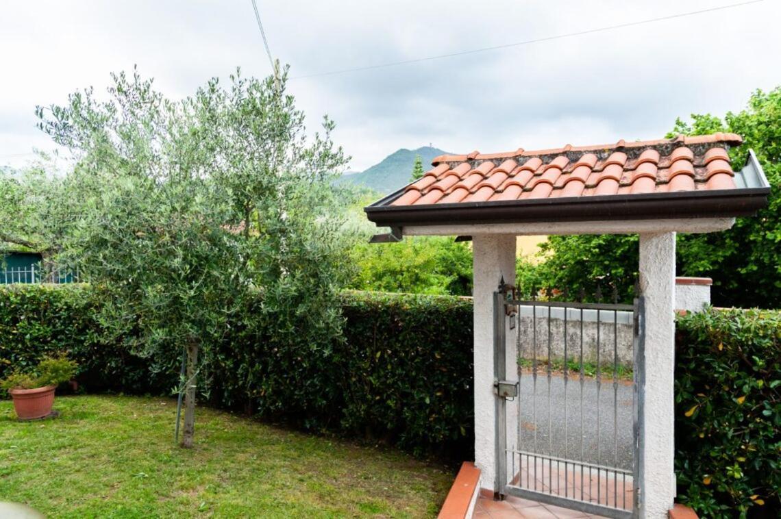 B&B Il Girasole Ortonovo Exteriér fotografie